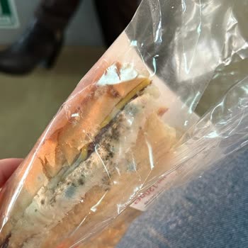 Bostanlı Feribotu Gofrette De Küflü Sandviç