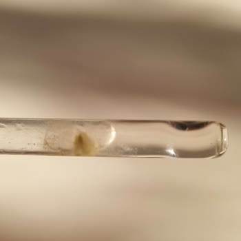 Trendyol Cosmetik Burada Sahte Ürün Satıyor