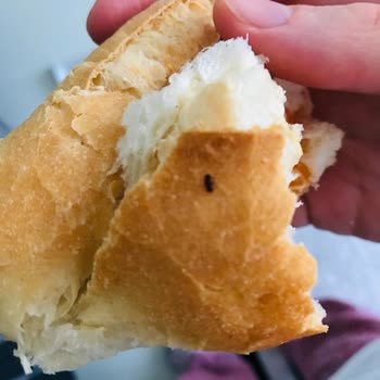 Happy Center Ekmekte Böcek Çıktı