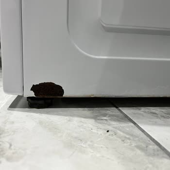 Beko Markasının İlgisizliği Ve Kalitesizliği