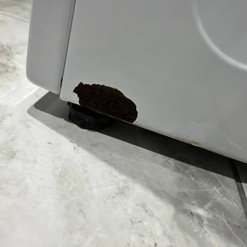 Beko Markasının İlgisizliği Ve Kalitesizliği