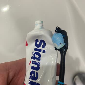 Signal Diş Macunundan Sinek Çıktı