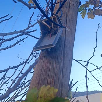 Superonline İnternetimin Bağlantı Kopmaları