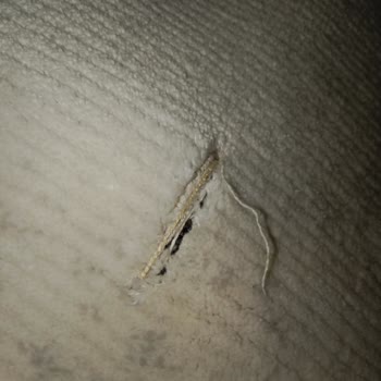 Çerçioğlu Halı Yıkama Halı Yıkamadan Şikayetçiyim