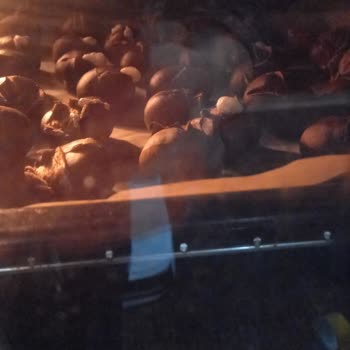 Urfa Gross AVM Urfa Gross Çin Kestanesi