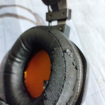 James Donkey 720 Ped Soyulması