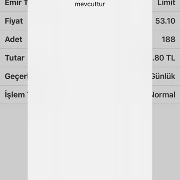 ING Bank Yüzünden Kapanışta Hisse Alamadım.