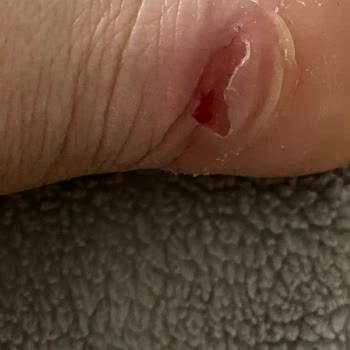 Pelin'in Ayakkabıları P. Ayakkabıları Ürününün Arkasında Durmuyor