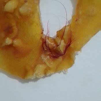 Tarım Kredi Kooperatif Market Marketten Alınan Üründe Beklenmedik Sorun