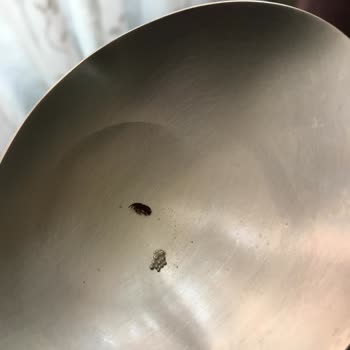 BİM Saban Nohut Tan Çıkan Böcekler.