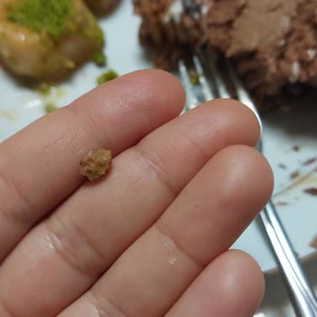 Akdo Pastaneleri Akdo Ve Taşlı Tatlı