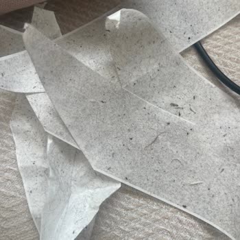 Electrolux Çalı Süpürgesi Bundan Daha İyi