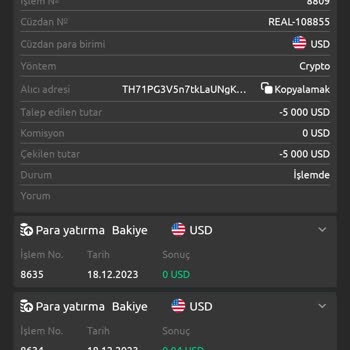 BerchTide Hesaptan Para Çekme Ve Yanlış İletişim Sorunları