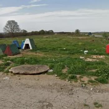 Pendik Belediyesi Sokak Köpekleri Saldırısı