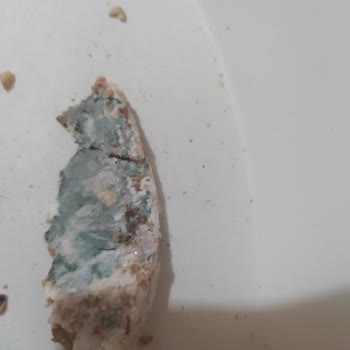 A101 Lütfen Mağduriyetimi Giderirsiniz