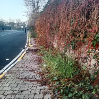 Gaziosmanpaşa Belediyesi GOP Belediye Hizmetsizliği