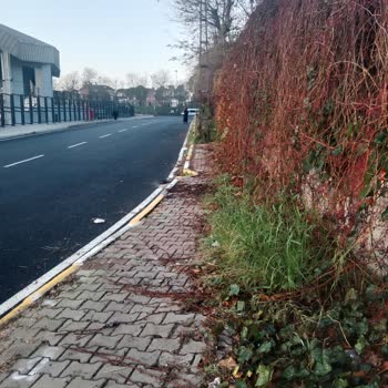 Gaziosmanpaşa Belediyesi GOP Belediye Hizmetsizliği