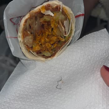 Trendyol Yemek Trendyol GO Yemekten Tel Çıktı