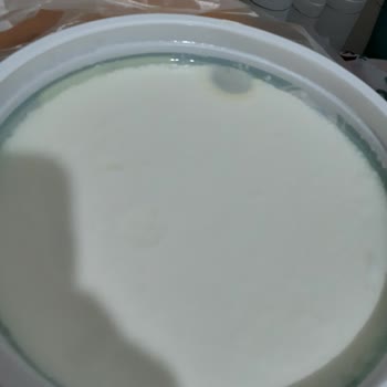 Pınar Et ve Süt Markalı Yoğurtta Küf Sorunu