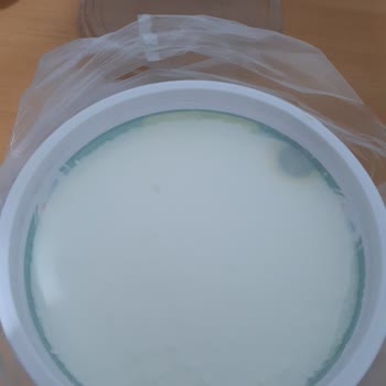 Pınar Et ve Süt Markalı Yoğurtta Küf Sorunu