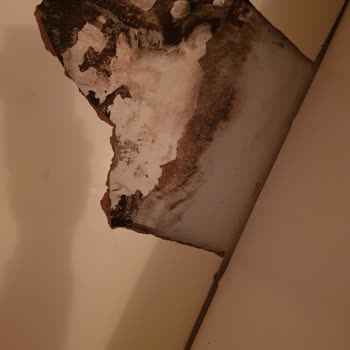 Allianz Ev Sigortası Hüsranı!