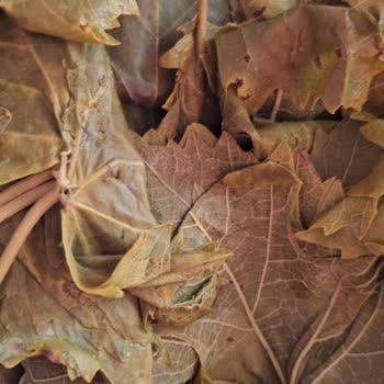 Mek Gıda (Tokat) Mek Gıda Tokat
