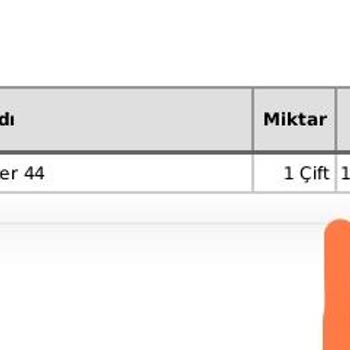 FLO Ayakkabı İnternet Üzerinden Satın Alınan Spor Ayakkabının Kullanım Sonrası Değerlendirilmesi