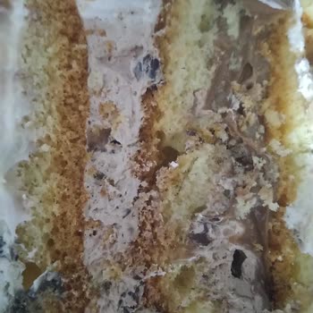 Akdeniz Dondurma Pasta Çok Pişmiş Ve Kuru Ayrıca Malzeme Yok