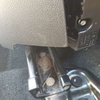 Servis Kabusu: Sel Hasarlı Ford Focus