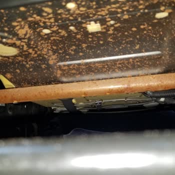 Servis Kabusu: Sel Hasarlı Ford Focus