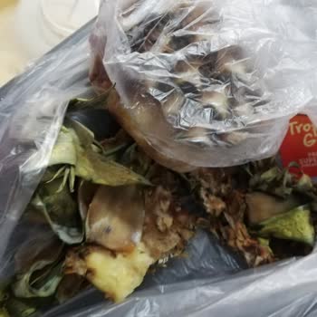 A101 Ananas Çürük Çıktı