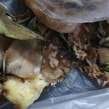 A101 Ananas Çürük Çıktı