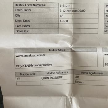 Sneaks Up Ürün İnceleme Sonucunun Gecikmesi