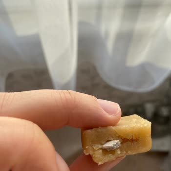 Seyidoğlu Gıda Marketten Alınan Helvada Yabancı Madde Bulunması