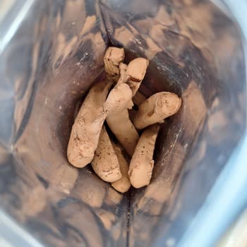 Patiswiss Çikolatası Bozuk Çıktı.