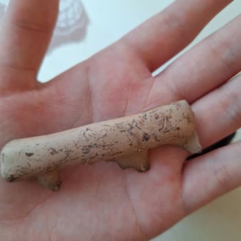 Patiswiss Çikolatası Bozuk Çıktı.