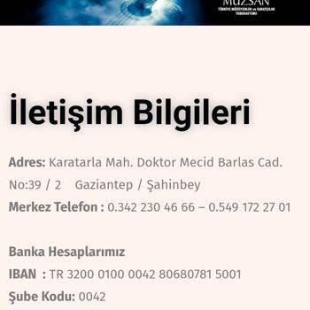 Müzisyenler ve Sanatçılar Federasyonu Müzsan Fd Tarafından Aidat Mesajları