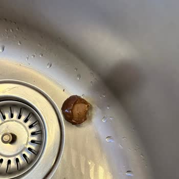 Kahve Dünyası Çikolatada Bulunan Canlı Kurtlar Üzerine Şikayet