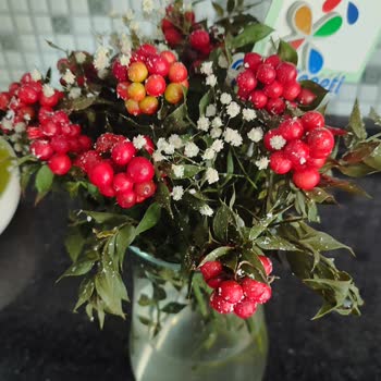 ÇiçekSepeti Solmuş Çiçekleri Göndermeye Utanmadılar.