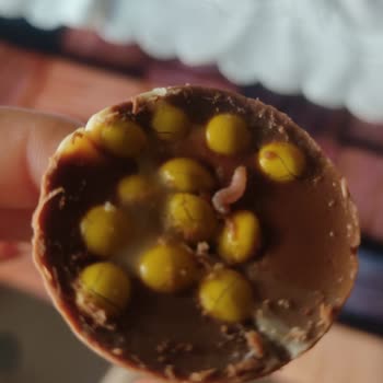 A101 Ozmo Kornet Çikolatada Kurt Çıkması