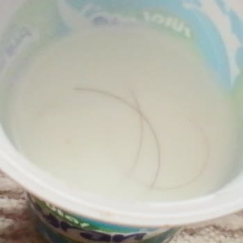 Sütaş Ayranımın İçinden Kıl Çıktı