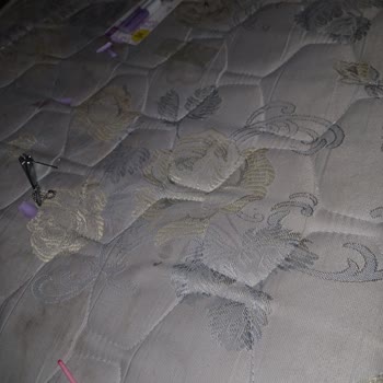 Nascita Marka Tırnak Yapıştırıcısı