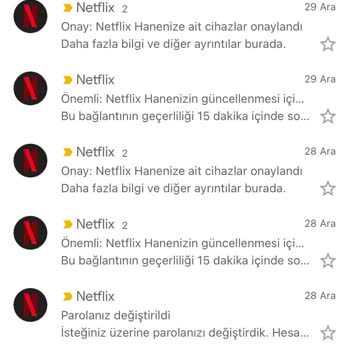 Netflix Bitmeyen Hane Güncellemesi