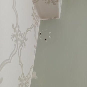 Dijitsu Servisi Çok Kötüydü