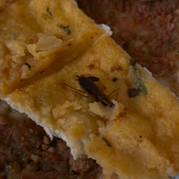 Pidem Restaurant Siparişimde Beklenmedik Misafir: Hijyen Sorunu!