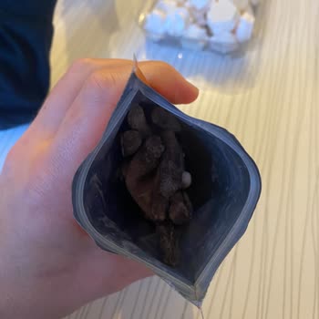 Kalitesini Düşüren ; Iskarta Ütün Satmaya Başlayan Patiswiss