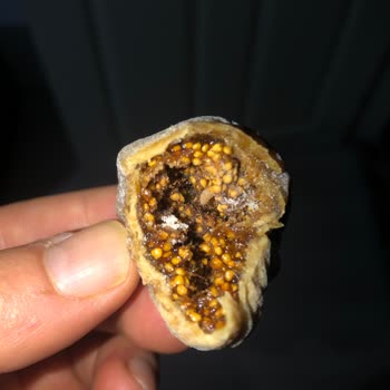 Yerinden Doğal Al Yerinden Doğal A