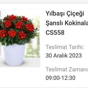 Çiçek Marketinden İstenilen Çiçek Ve Gelen Çiçek Arasındaki Fark