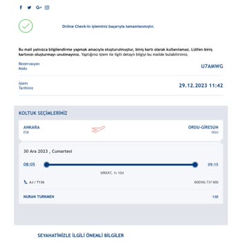 Anadolu Jet Online Check-in Sorunu