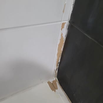 Cadence Boya Cadance Boya Kabuk Kabuk Kalktı.